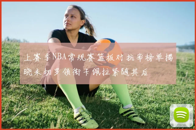 上赛季NBA常规赛篮板对抗率榜单揭晓米切罗领衔卡佩拉紧随其后