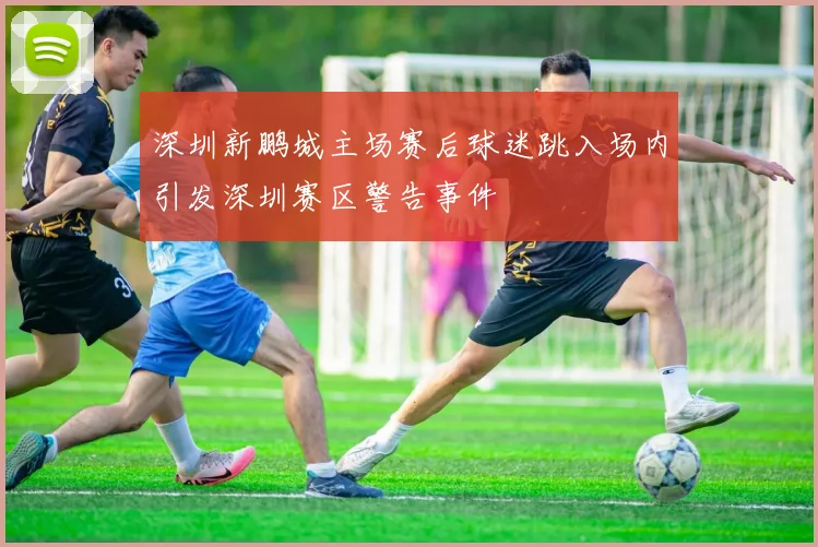 深圳新鹏城主场赛后球迷跳入场内引发深圳赛区警告事件
